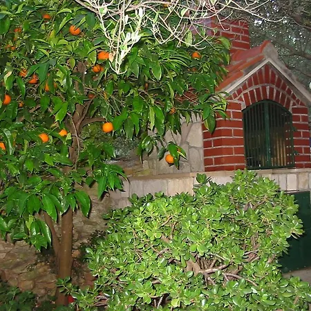 Dora Apartament Korčula